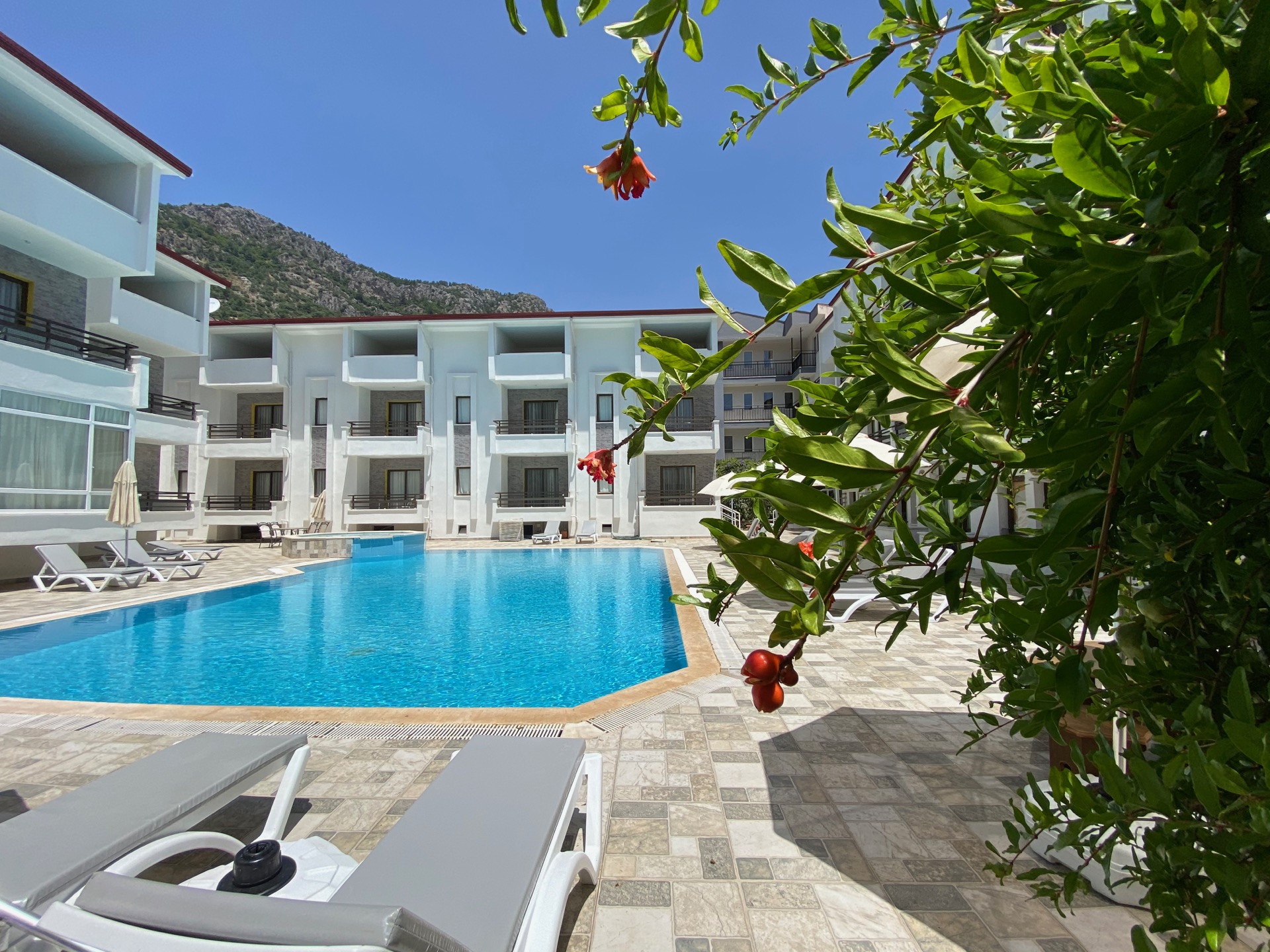Havuz Manzaralı, 1 Yatak Odalı Apart Diplomat Hotel